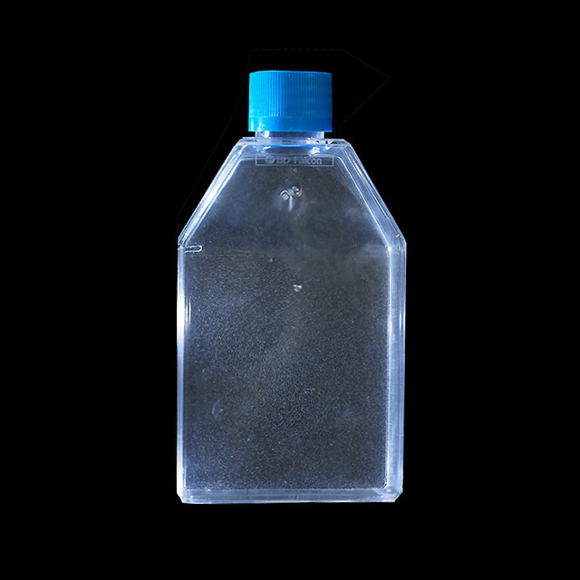 paramecium paramecium